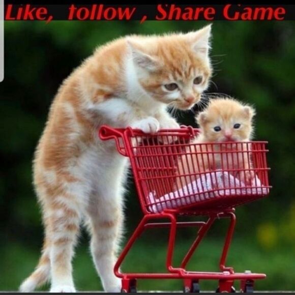 Other - Help me reach 700k I’m at 620k